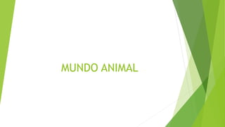 MUNDO ANIMAL
 