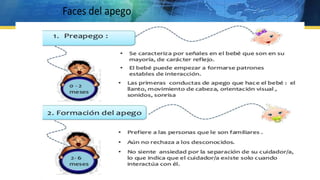 Vida  apego vinculos