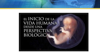 Vida  apego vinculos
