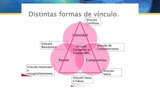 Vida  apego vinculos