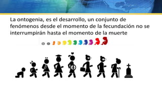 Vida  apego vinculos