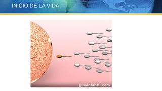 INICIO DE LA VIDA
 