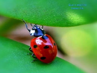 Que o espíritodessedia, 