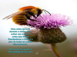Uma coisaaprendidurantea minhavida, sofrernao e a piorcoisaqueexiste. Desobedecera Deus e apior de todasas coisas.Sinceramente,Fernanda Torres/2010fftorres65@hotmail.com
