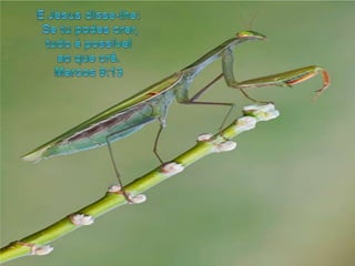 E Jesus disse-lhe:Se tupodescrer, tudoé possívelaoquecrê. Marcos 9:13