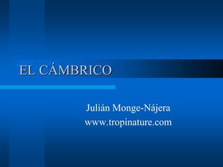 EL CÁMBRICO

       Julián Monge-Nájera
       www.tropinature.com
 