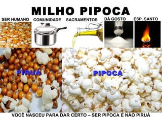 MILHO PIPOCA
SER HUMANO COMUNIDADE SACRAMENTOS DÁ GOSTODÁ GOSTO ESP. SANTO
PIRUÁPIRUÁ PIPOCAPIPOCA
VOCÊ NASCEU PARA DAR CERTO – SER PIPOCA E NÃO PIRUÁ
 