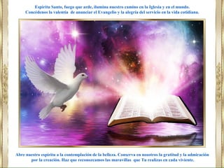 Abre nuestro espíritu a la contemplación de la belleza. Conserva en nosotros la gratitud y la admiración
por la creación. Haz que reconozcamos las maravillas que Tu realizas en cada viviente.
Espíritu Santo, fuego que arde, ilumina nuestro camino en la Iglesia y en el mundo.
Concédenos la valentía de anunciar el Evangelio y la alegría del servicio en la vida cotidiana.
 