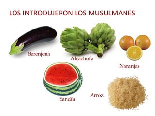 LOS INTRODUJERON LOS MUSULMANES
Berenjena
Alcachofa
Sandía
Naranjas
Arroz
 