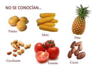 NO SE CONOCÍAN…
Cacahuete
Patata
Maíz
Piña
Tomate Cacao
 