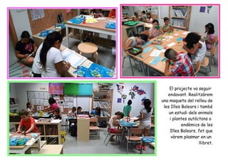 El projecte va seguir
endavant. Realitzàrem
una maqueta del relleu de
les Illes Balears i també
un estudi dels animals
i plantes autòctons o
endèmics de les
Illes Balears, fet que
vàrem plasmar en un
llibret.
 