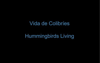 Vida de Colibríes
Hummingbirds Living
 