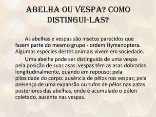 ABELHA OU VESPA? COMO DISTINGUI-LAS?		As abelhas e vespas são insetos parecidos que fazem parte do mesmo grupo - ordem Hymenoptera. Algumas espécies destes animais vivem em sociedade.		Uma abelha pode ser distinguida de uma vespa pela posição de suas asas: vespas têm as asas dobradas longitudinalmente, quando em repouso; pela pilosidade do corpo: ausência de pêlos nas vespas; pela presença de uma expansão ou tufos de pêlos nas patas posteriores das abelhas, onde é acumulado o pólen coletado, ausente nas vespas.