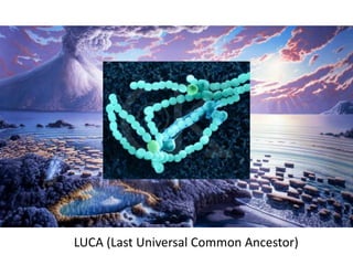 LUCA (Last Universal Common Ancestor)
 