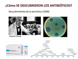 Descubrimiento de la penicilina (1928)
Alexander Fleming
¿Cómo SE DESCUBRIERON LOS ANTIBIÓTICOS?
 