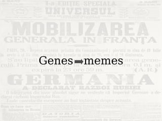Genes  memes 