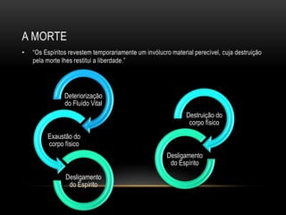 A MORTE
•   ―Os Espíritos revestem temporariamente um invólucro material perecível, cuja destruição
    pela morte lhes restitui a liberdade.‖




                Deteriorização
                do Fluído Vital
                                                              Destruição do
                                                               corpo físico
         Exaustão do
         corpo físico
                                                       Desligamento
                                                        do Espírito
                Desligamento
                 do Espírito
 