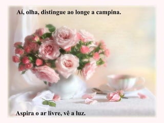 Aí, olha, distingue ao longe a campina.
Aspira o ar livre, vê a luz.
 