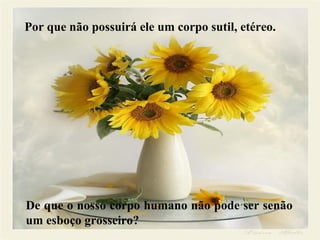 Por que não possuirá ele um corpo sutil, etéreo.
De que o nosso corpo humano não pode ser senão
um esboço grosseiro?
 