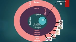 C
Corpo
Alma
Espírito
ES
Habitação
ES
Físico
Natural
Espiritual
Mente
Emoção
Vontade
Intuição
Consciência
Adoração
Carne
Ossos
Sangue
 