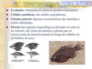    Evolução: Alterações no material genético (mutações)
   Células somáticas: são células reprodutoras.
   Seleção natural: algumas características são mantidas e
    outras eliminadas.
   Fósseis:são registros arqueológicos deixados no solo ou
    no subsolo, são restos de animais e plantas que se
    conservaram de maneira natural ao longo de milhões ou
    até bilhões de anos.
 