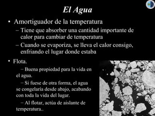 El Agua Amortiguador de la temperatura Tiene que absorber una cantidad importante de calor para cambiar de temperatura Cuando se evaporiza, se lleva el calor consigo, enfriando el lugar donde estaba Flota. Buena propiedad para la vida en el agua. Si fuese de otra forma, el agua se congelaría desde abajo, acabando con toda la vida del lugar. Al flotar, actúa de aislante de temperatura.. 