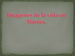 Imágenes de la vida enMartes.