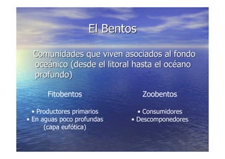 LA VIDA EN LOS OCEANOS