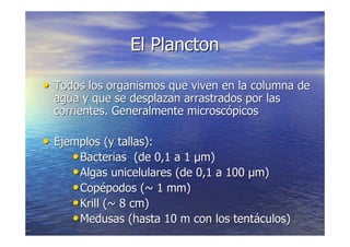 LA VIDA EN LOS OCEANOS