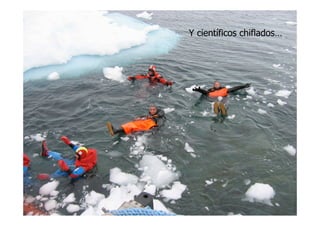 LA VIDA EN LOS OCEANOS