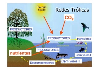 LA VIDA EN LOS OCEANOS