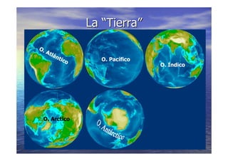 LA VIDA EN LOS OCEANOS