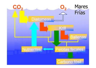 LA VIDA EN LOS OCEANOS