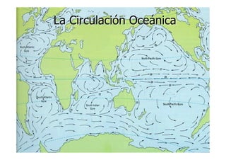 LA VIDA EN LOS OCEANOS