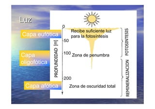 LA VIDA EN LOS OCEANOS