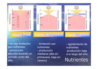 LA VIDA EN LOS OCEANOS