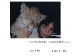 Trabalho Realizado por: Francisco André Dolores Águas



Turma do 4ºC                 Dezembro de 2011
 