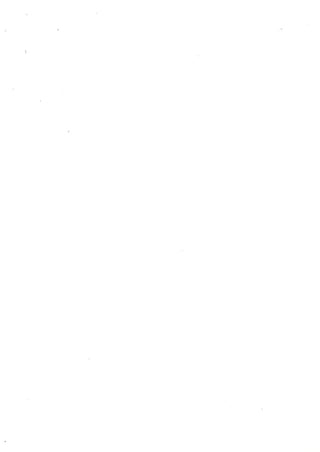 Vida e obra grimualdo da silva