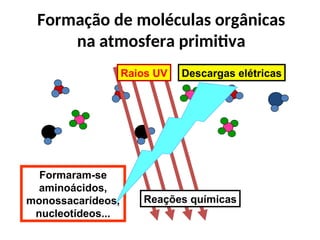 Formação de moléculas orgânicas
na atmosfera primitiva
Descargas elétricas
Raios UV
Reações químicas
Formaram-se
aminoácidos,
monossacarídeos,
nucleotídeos...
 