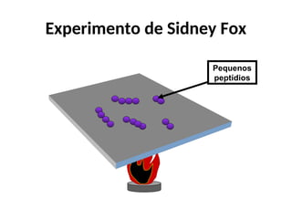Experimento de Sidney Fox
Pequenos
peptídios
 