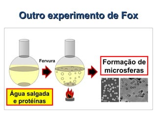 Fervura
Outro experimento de Fox
Outro experimento de Fox
Água salgada
e protéínas
Formação de
microsferas
 