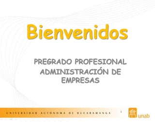 PREGRADO PROFESIONAL
ADMINISTRACIÓN DE
EMPRESAS
1
Bienvenidos
 