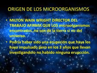 ORIGEN DE LOS MICROORGANISMOS
• MILTON WAIN WRIGHT DIRECTOR DEL
TRABAJO AFIRMA QUE LOS microorganismos
encontrados ,no son de la tierra si no del
universo.
• Podría haber sido una erupcción que haya los
haya impulsado pero en los 3 años que llevan
investigandolo no habido ninguna erupcción.

 