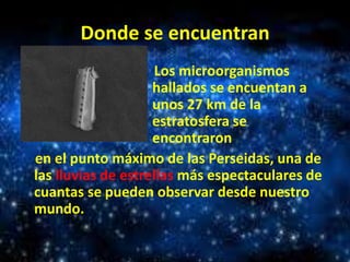 Donde se encuentran
Los microorganismos
hallados se encuentan a
unos 27 km de la
estratosfera se
encontraron
en el punto máximo de las Perseidas, una de
las lluvias de estrellas más espectaculares de
cuantas se pueden observar desde nuestro
mundo.

 