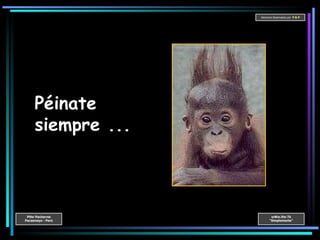 Péinate siempre ... 