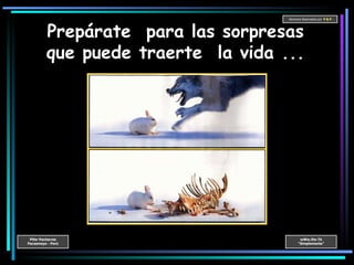 Prepárate  para las sorpresas que puede traerte  la vida ... 