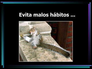 Evita malos hábitos ... 