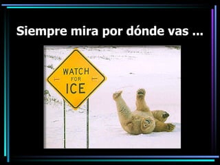 Siempre mira por dónde vas ... 