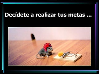 Decídete a realizar tus metas ... 