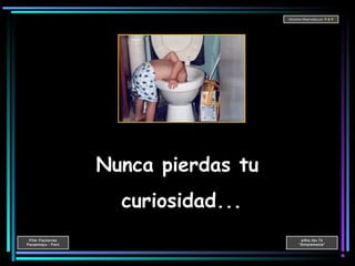 Pifer Pacherres
Pacasmayo - Perú
wWw.ifer.Tk
“Simplemente”
Derechos Reservados por P & P
Nunca pierdas tu
curiosidad...
 